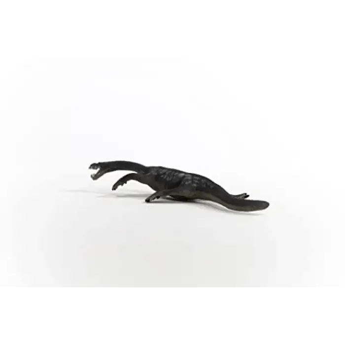 Notozorus
