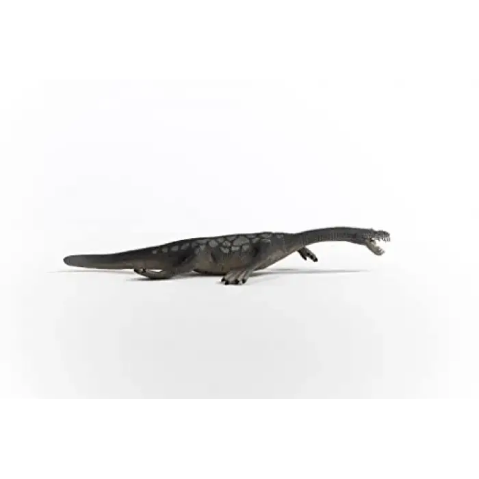 Notozorus
