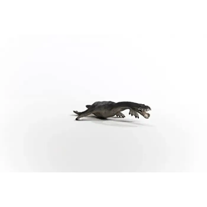 Notozorus