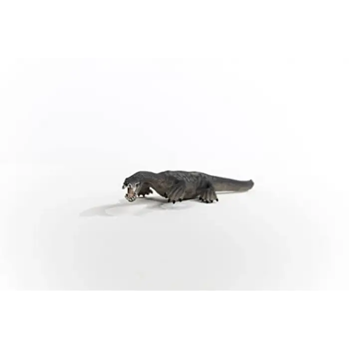 Notozorus