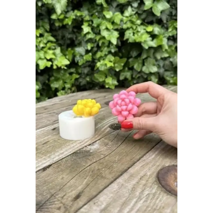 Obtusa Sukulent Mum Kalıbı (Silikon)