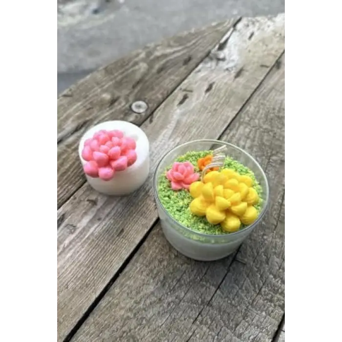 Obtusa Sukulent Mum Kalıbı (Silikon)