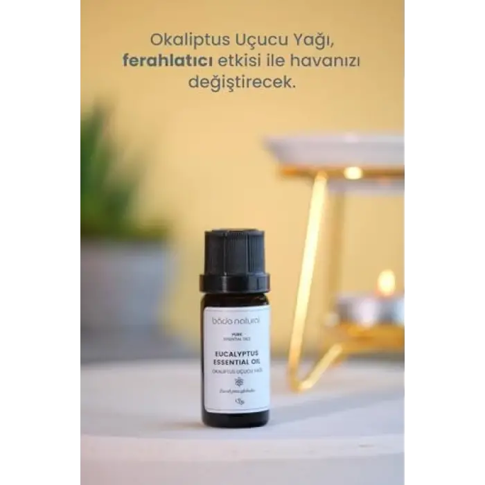 Okaliptus Uçucu Yağı 1 Paket (1 X 10 Ml)