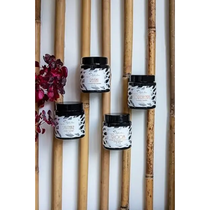 Organik Shiitake Mantarı 80 G