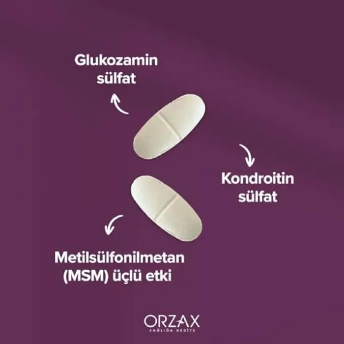 Orzax Cosakondrin Msm 60 Tablet