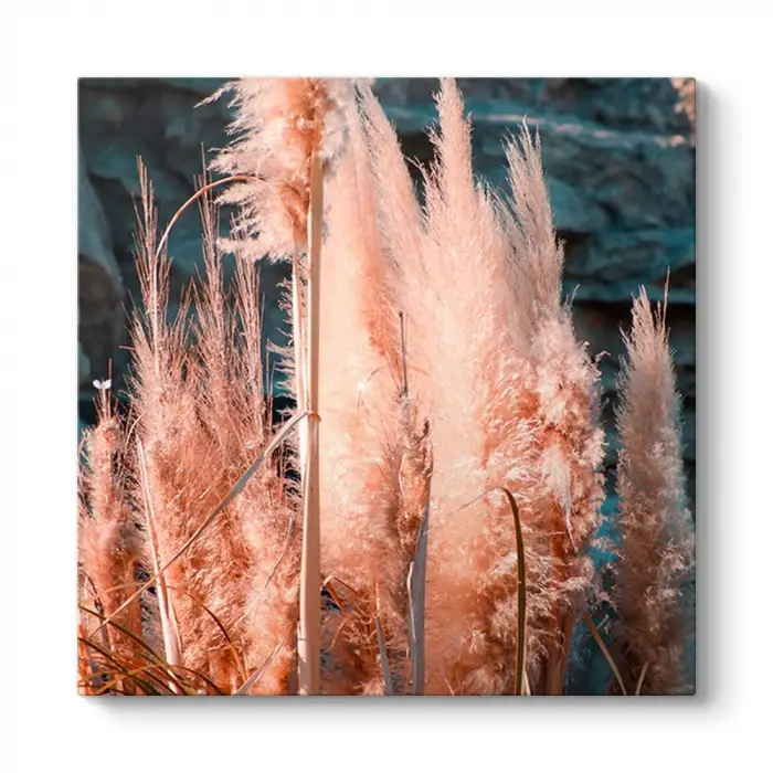 Pampas Otu Tablosu 30 x 30