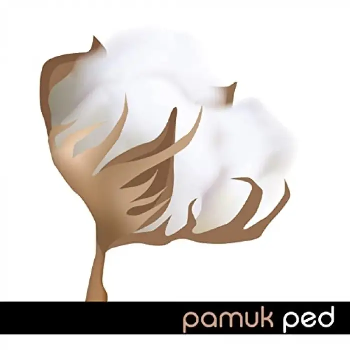 Pamuk 24lü Normal Vegan Ped