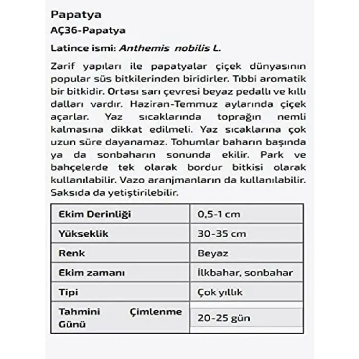 Papatya Çiçeği Tohumu