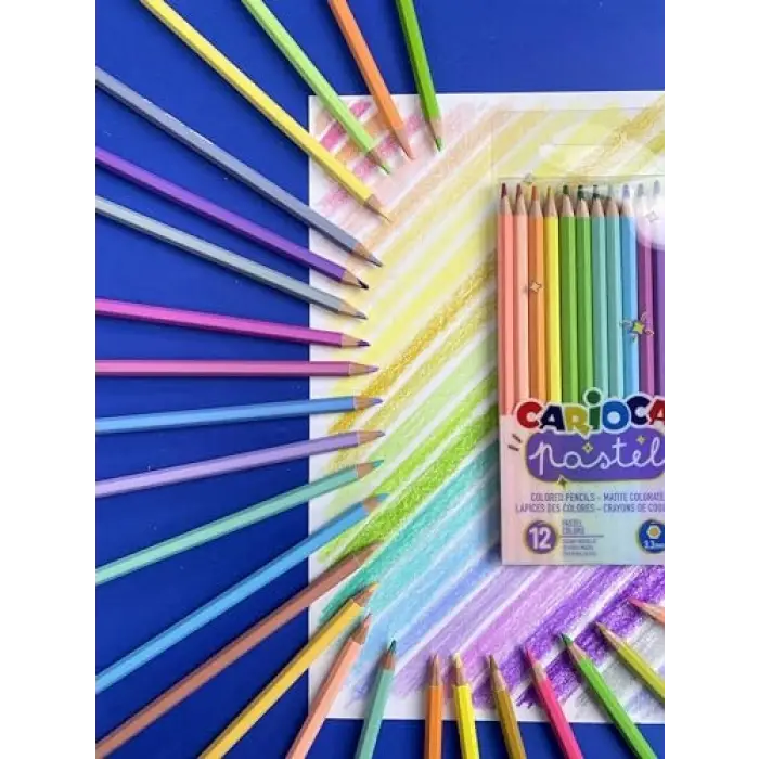 Pastel Renk Kuru Boya Kalemi 24Lü