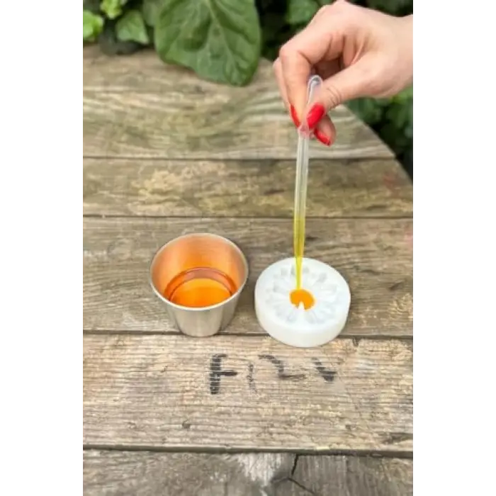 Pastör Pipet (Damlalık) 3 ml (50 Adet)