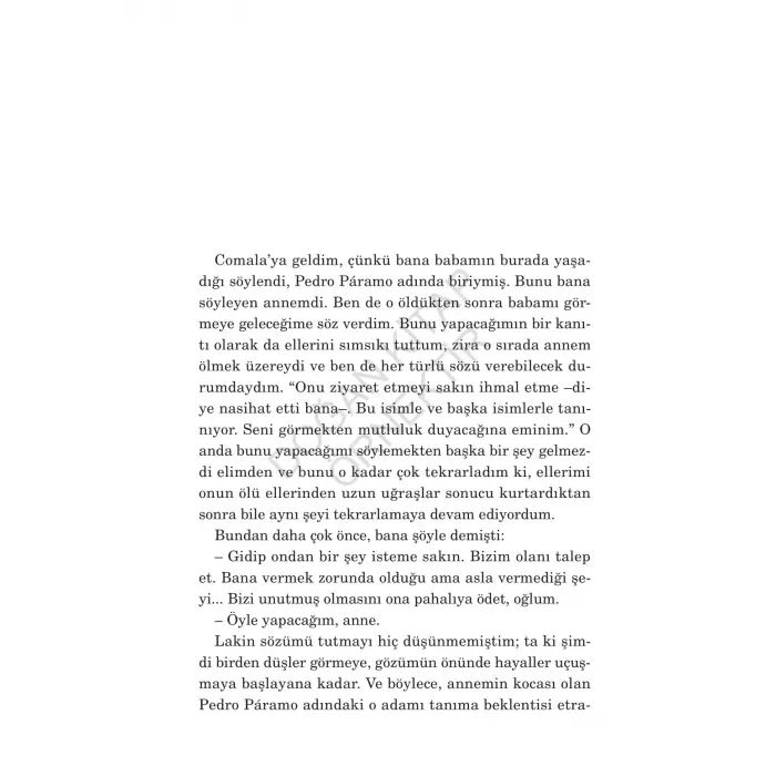 Pedro Paramo