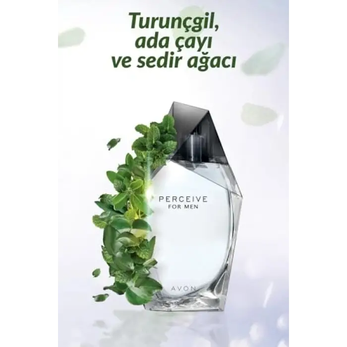 Perceive Erkek Parfüm Edt 100 Ml.