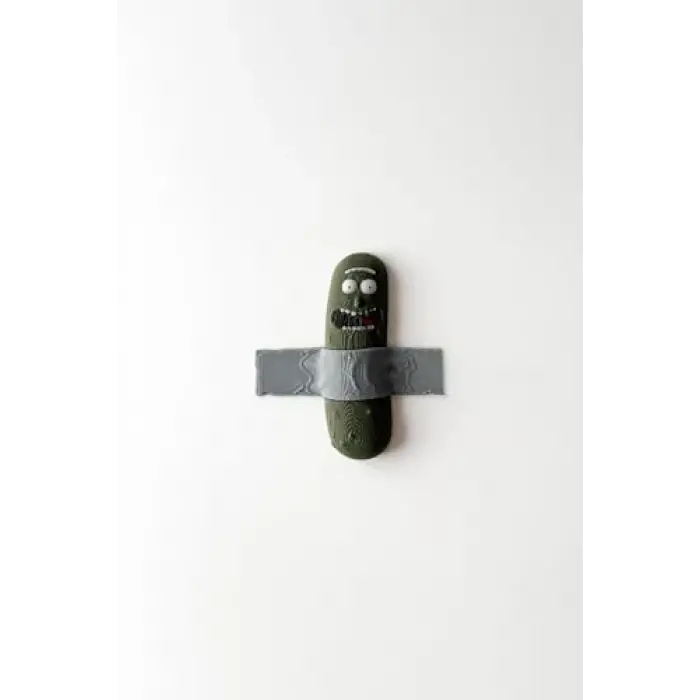 Pickle Rick Buzdolabı Magneti