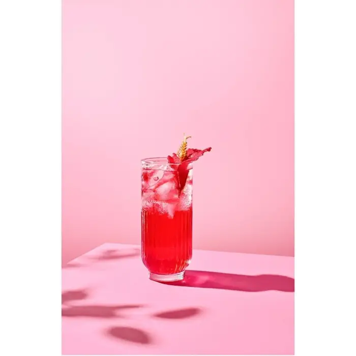 Pin Drinks Hibscus Tea 1 L X 6