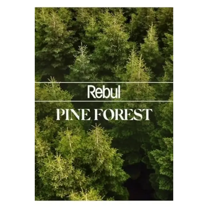 Pine Forest Kolonyalı Mendil, 100 Adet, 5 ml