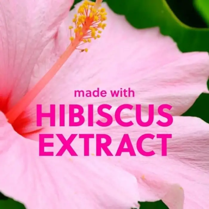 Pink Hibiscus Shea Sugar Scrub Vücut Peelingi 510GR