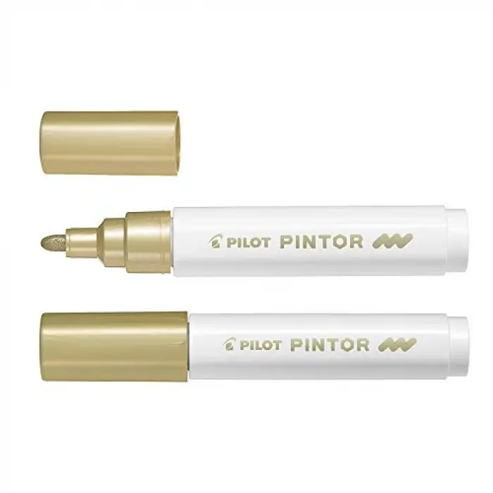 Pintor (M) - Altın