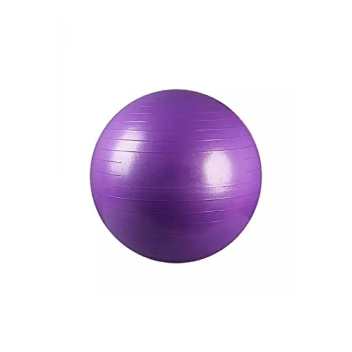 Plates Topu 65 cm + Pompa Mor Renk