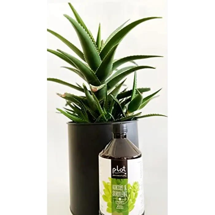 Plot Kaktüs Sukulent Organik İçerikli Bitki Besini 500 ml