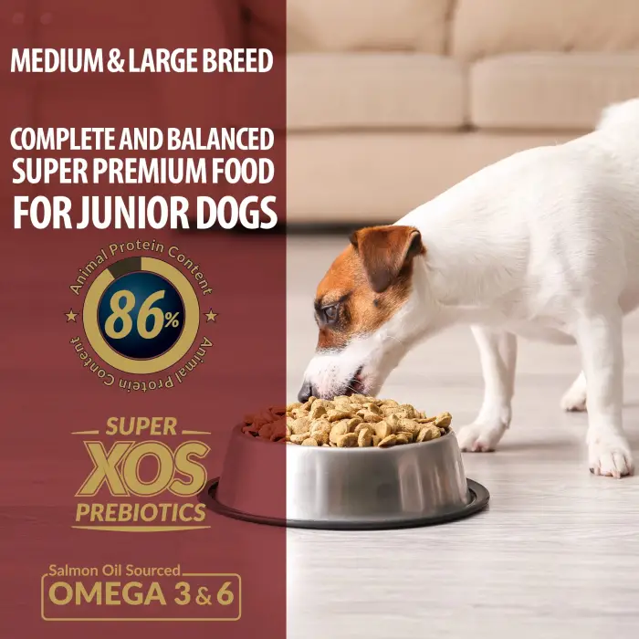 Plus M, L Breed Puppy Dog 28/16 L&R, 3 Kg
