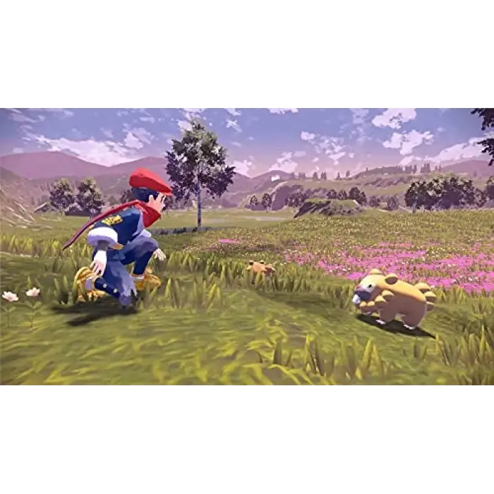 Pokémon Legends Arceus, Switch