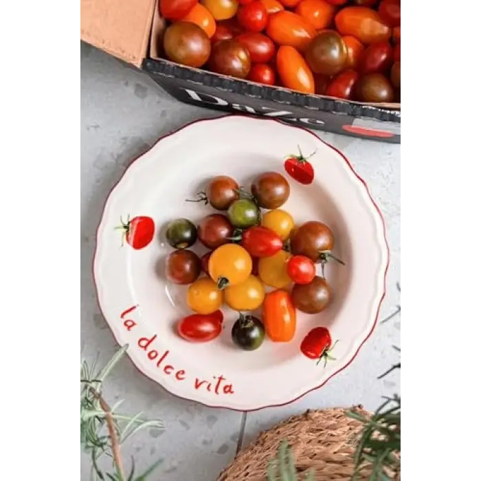 Pomodoro Stoneware Yemek Tabağı Seti, 4lü, 23 cm