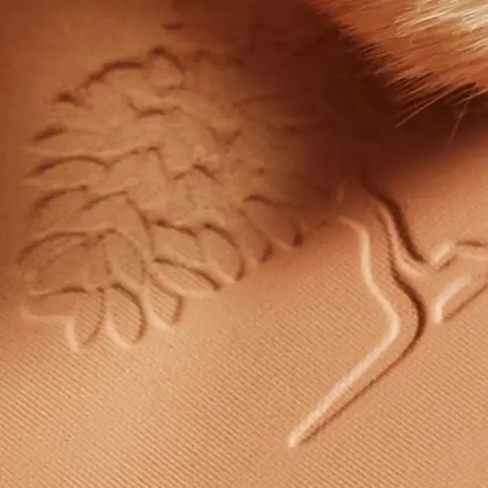Poudre Eclat Prodigieux 25 g