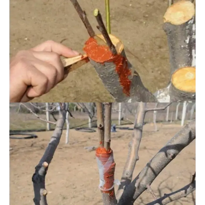 Pro-Max Aşı ve Budama Macunu 250 g