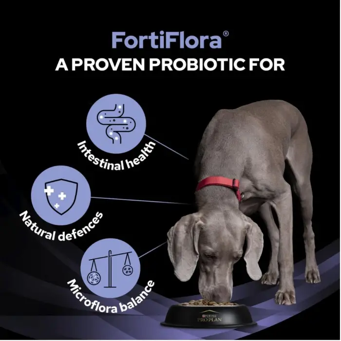 Pro Plan Vet Canıne Fortıflora Probıotıco 30X1 g