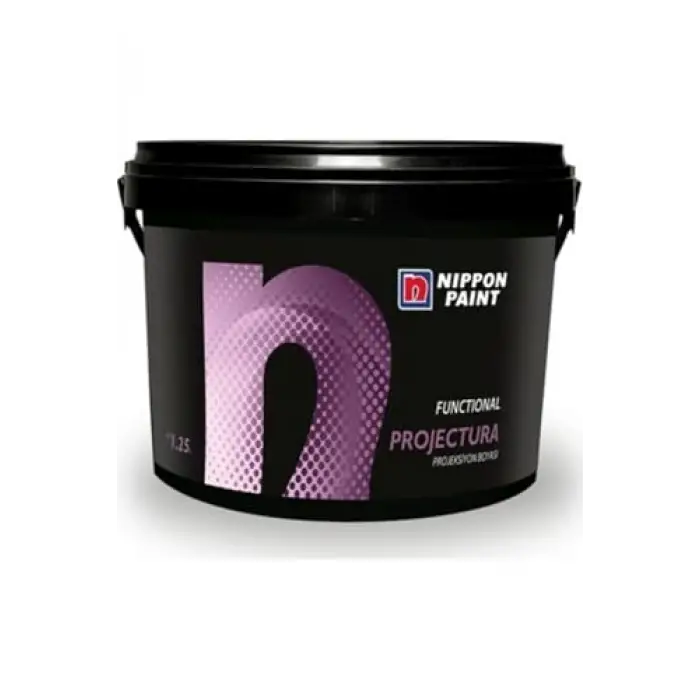 Projectura Projeksiyon Boyası 1,25 L