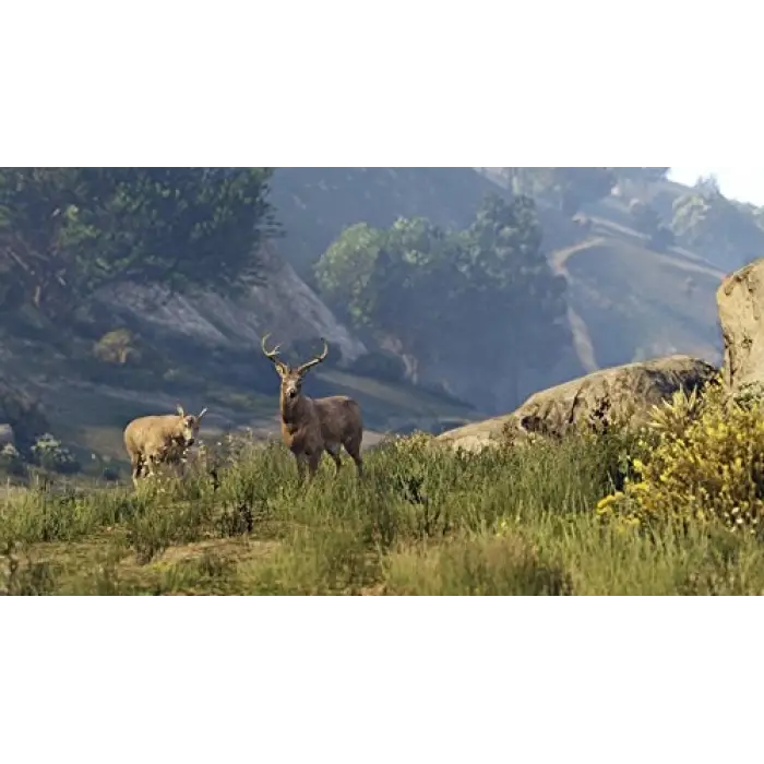 Ps4 Gta V Grand Theft Auto 5