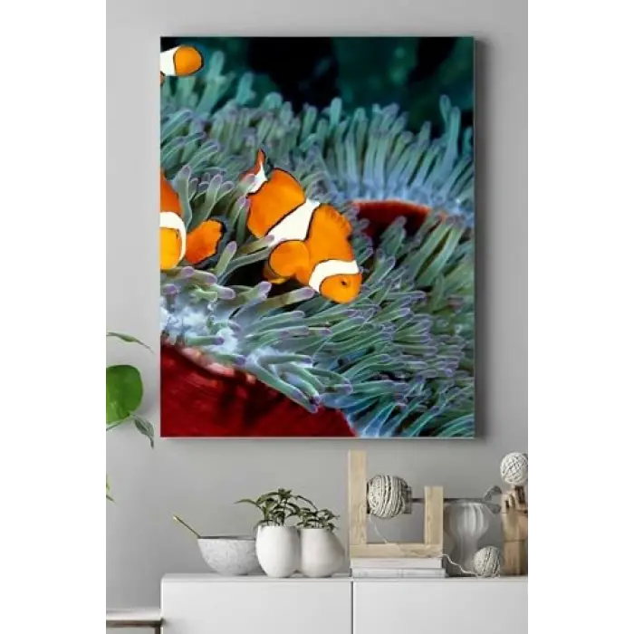 (pster15141) Balık Hayvan Kanvas Tablo 50 x 70