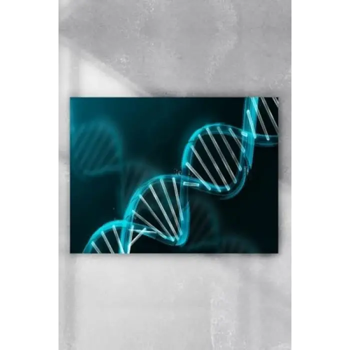 (pster3922) Dna Bilimsel Poster (70x100cm)