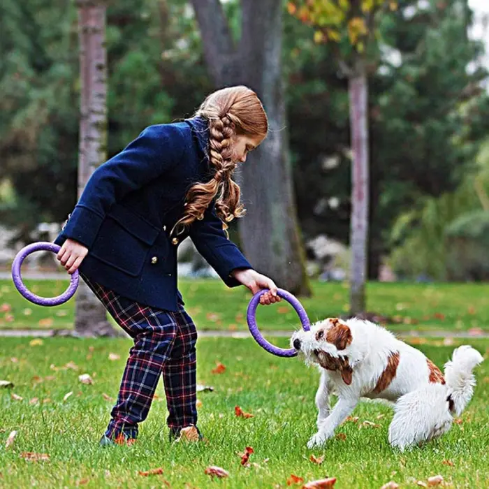 Puller Mını İnteraktif Köpek Oyuncağı, 2 Halkalı Set