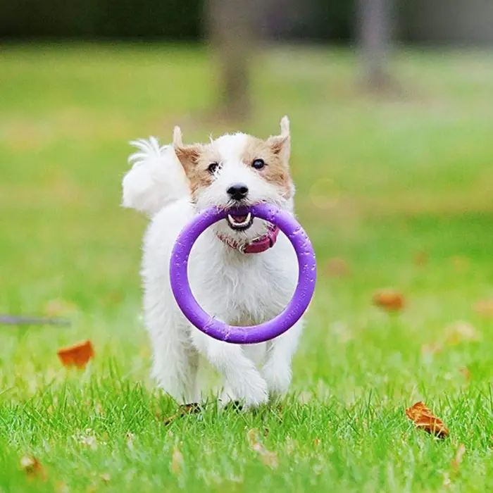 Puller Mını İnteraktif Köpek Oyuncağı, 2 Halkalı Set