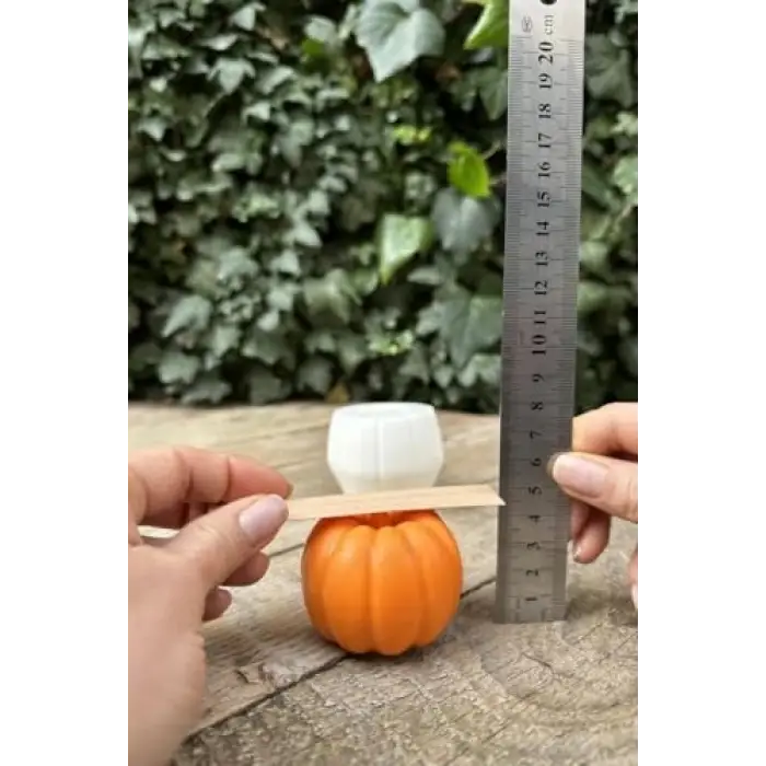 Pumpkin Orta Boy Silikon Mum Kalıbı
