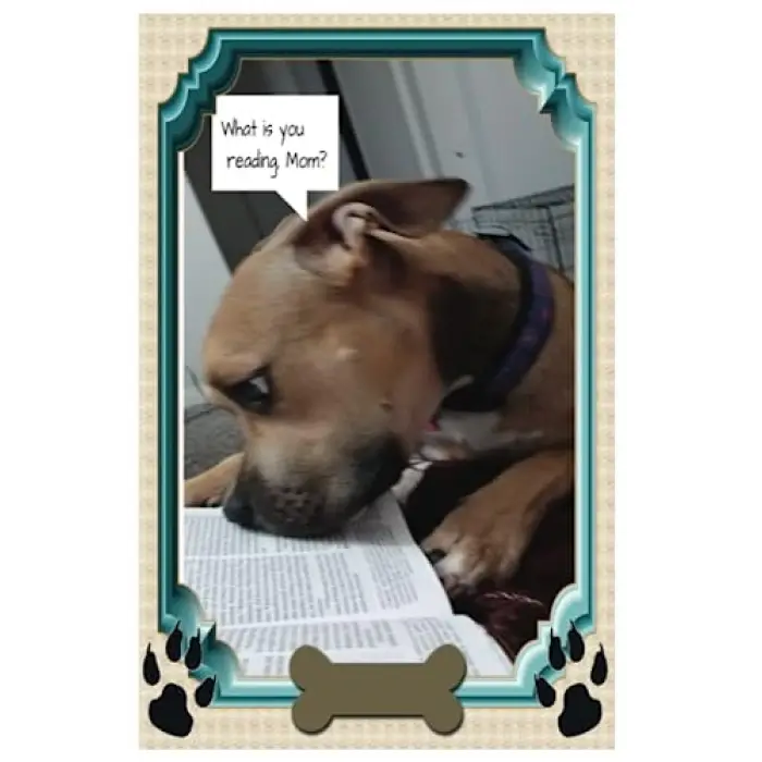 Puppy journal