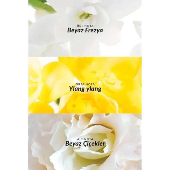 Pur Blanca Kadın Vücut Spreyi 100 Ml