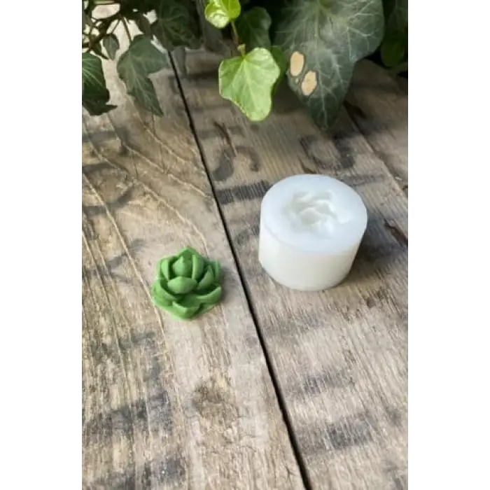 Purpusorum Sukulent Mum Kalıbı, Silikon