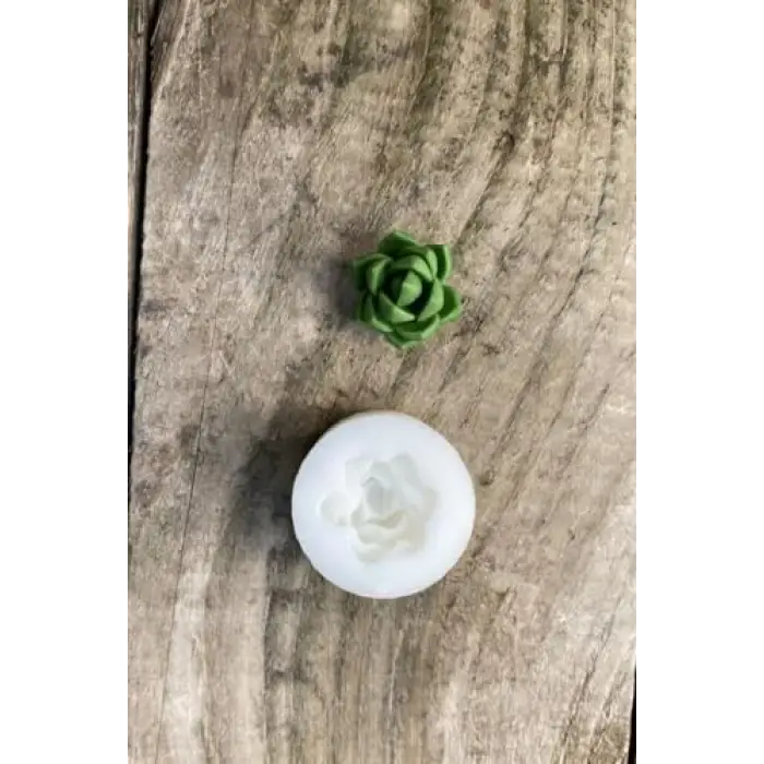 Purpusorum Sukulent Mum Kalıbı, Silikon
