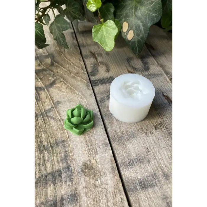 Purpusorum Sukulent Mum Kalıbı, Silikon