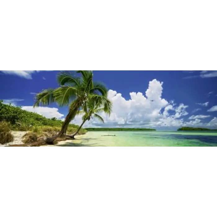 Puzzle Paradise Palm 2000 Parça Panorama