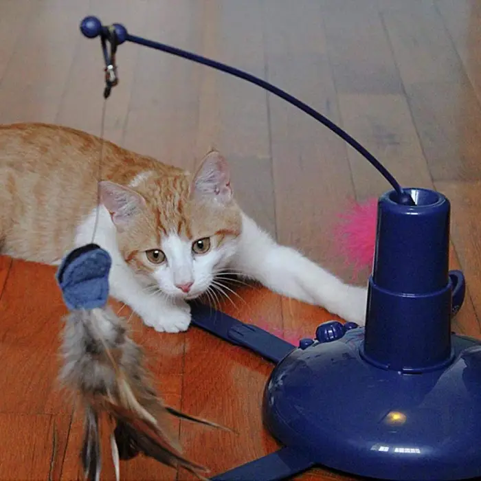 Raptor-Electronic Elektronik Kedi Oyuncağı