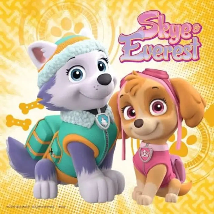 Ravensburger 3x49 Parça Paw Patrol Skye Puzzle-080083