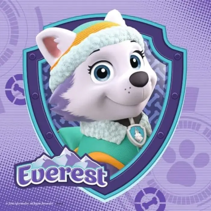 Ravensburger 3x49 Parça Paw Patrol Skye Puzzle-080083