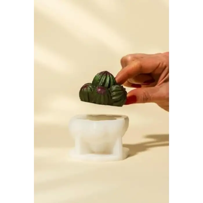 Rebutia Kaktüs Silikon Mum Kalıbı