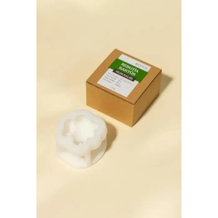 Rebutia Kaktüs Silikon Mum Kalıbı