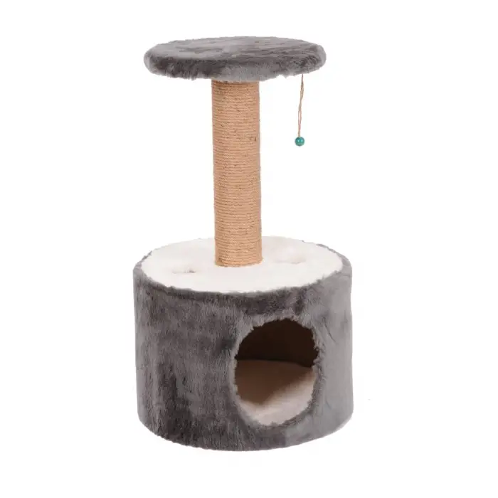 Roll Model Gri Kedi Tırmalama