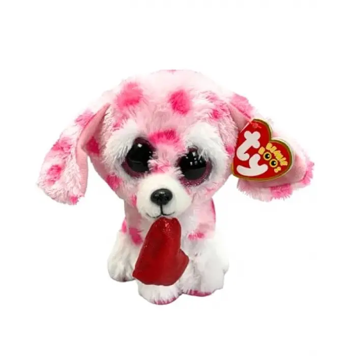 Rory Dog Val Reg