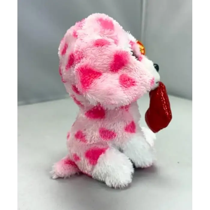 Rory Dog Val Reg